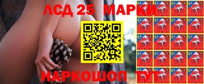 прущие крисы Можга