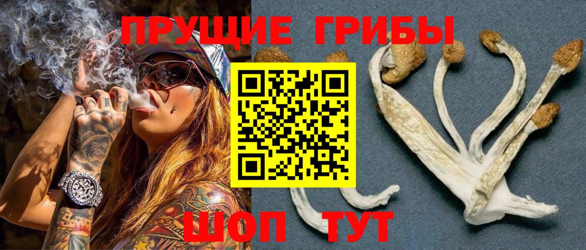 Галлюциногенные грибы Psilocybe Анапа